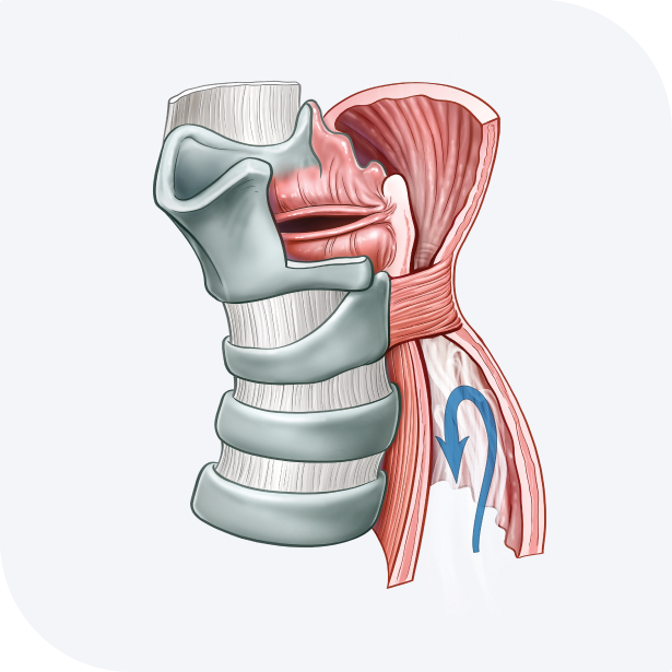 upper oesophageal sphincter